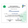 Ampliar imagen: certificate 2