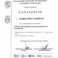 Ampliar imagen: certificate 12