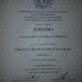 Ampliar imagen: certificate 13
