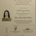 Ampliar imagen: certificate 3