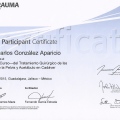 Ampliar imagen: certificate 8