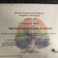 Ampliar imagen: certificate 8