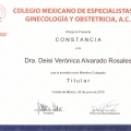 Ampliar imagen: certificate 14