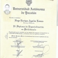 Ampliar imagen: certificate 30