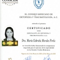 Ampliar imagen: certificate 4