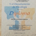 Ampliar imagen: certificate 85