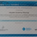 Ampliar imagen: certificate 14