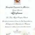 Ampliar imagen: certificate 8