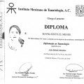 Ampliar imagen: certificate 5