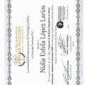 Ampliar imagen: certificate 12