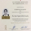 Ampliar imagen: certificate 1