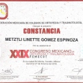 Ampliar imagen: certificate 17