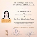 Ampliar imagen: certificate 4