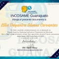 Ampliar imagen: certificate 3