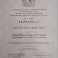 Ampliar imagen: certificate 6