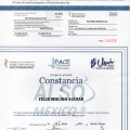 Ampliar imagen: certificate 1