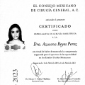 Ampliar imagen: certificate 2