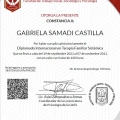 Ampliar imagen: certificate 7