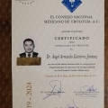 Ampliar imagen: certificate 5