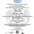 Ampliar imagen: certificate 7