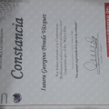 Ampliar imagen: certificate 14