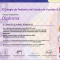 Ampliar imagen: certificate 3