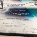 Ampliar imagen: certificate 3