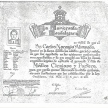 Ampliar imagen: certificate 5