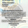 Ampliar imagen: certificate 4