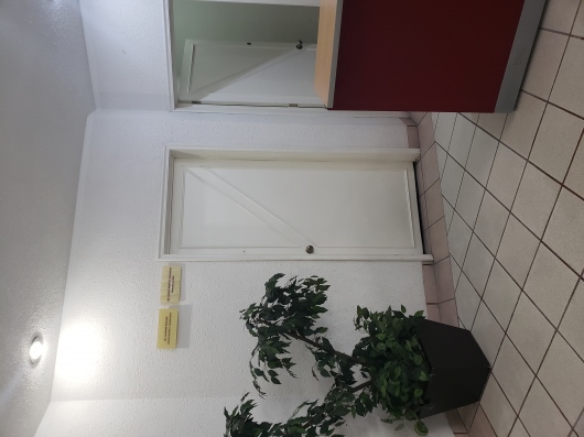 A. Gunther Wischin Fuentes-1