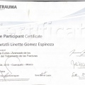 Ampliar imagen: certificate 5