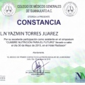Ampliar imagen: certificate 23