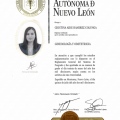 Ampliar imagen: certificate 3
