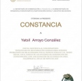 Ampliar imagen: certificate 18