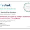 Ampliar imagen: certificate 8