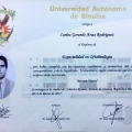 Ampliar imagen: certificate 2