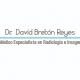 David Bretón Reyes