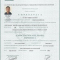 Ampliar imagen: certificate 11