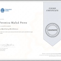 Ampliar imagen: certificate 7