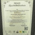 Ampliar imagen: certificate 3