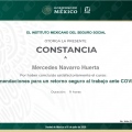 Ampliar imagen: certificate 11