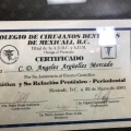Ampliar imagen: certificate 1