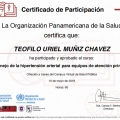 Ampliar imagen: certificate 13