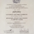 Ampliar imagen: certificate 6