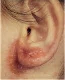 Miguel Angel Melgarejo Ramos-8