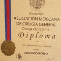 Ampliar imagen: certificate 5