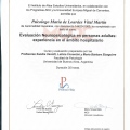 Ampliar imagen: certificate 15