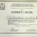 Ampliar imagen: certificate 23