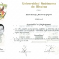 Ampliar imagen: certificate 5