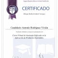 Ampliar imagen: certificate 5
